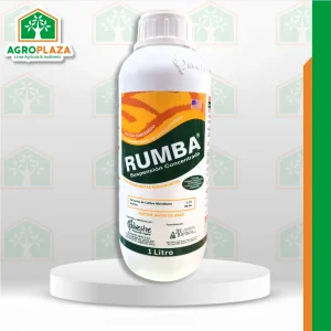 RUMBA x 1LT