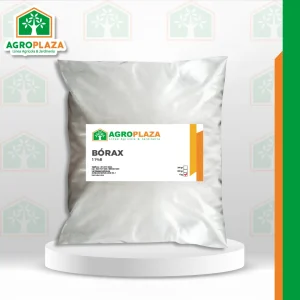 BÓRAX x 1KG