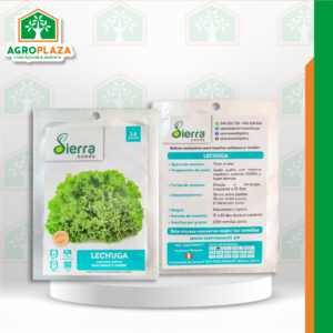 SEMILLA DE LECHUGA CRESPA SOBRE X 2GR