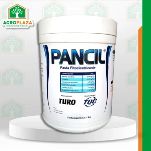 PANCIL x 1KG