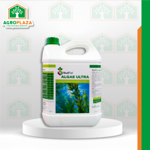NUTFOL ALGAE ULTRA x 5LT