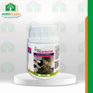 NUTFOL CICATRICUR x 200GR