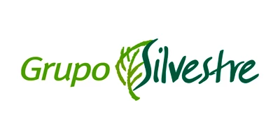 grupo silvestre