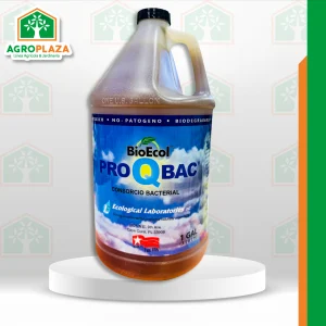 PROQBAC x 3.78 LT