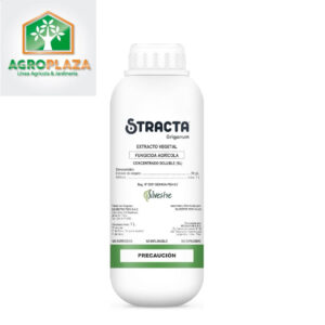STRACTA ORIGANUM x 1Lt.